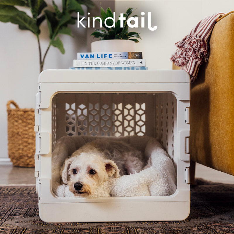 Medium Crate and Lounger Bundle