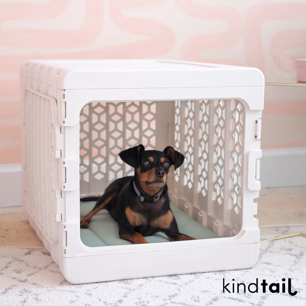 Medium Crate and Pad Bundle