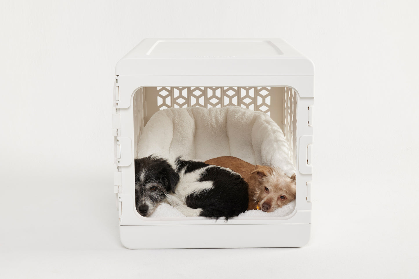 Medium Crate, Lounger and Pad Bundle